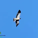 Salto Do Lobo - Montain With Private River Homestay