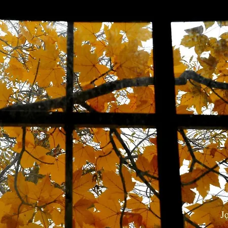 Salto Do Lobo - Montain With Private River *