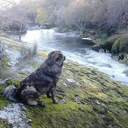 Salto Do Lobo - Montain With Private River Penhas da Saude