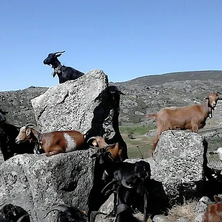 Salto Do Lobo - Montain With Private River Penhas da Saúde