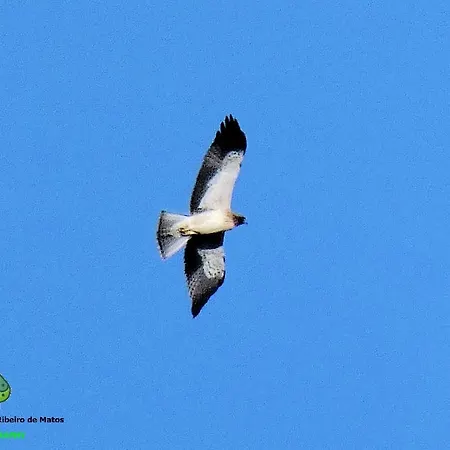 Salto Do Lobo - Montain With Private River Homestay