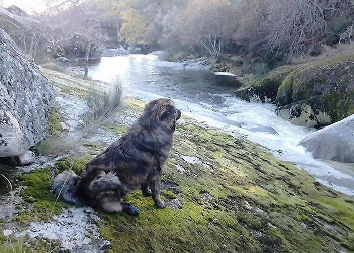 Salto Do Lobo - Montain With Private River Penhas da Saúde