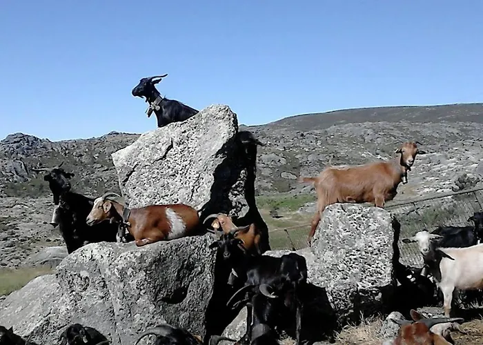 Salto Do Lobo - Montain With Private River Penhas da Saúde