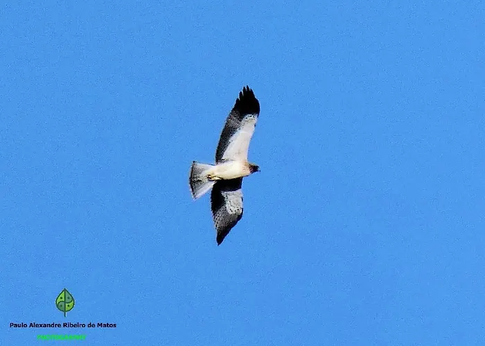 Salto Do Lobo - Montain With Private River בית אירוח